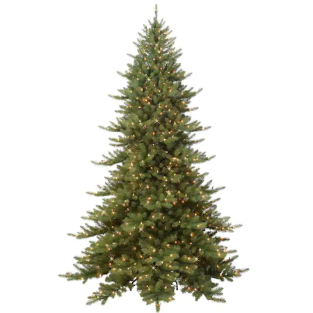 fraser fir tree for sale