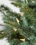 MAR-T_Mariana-Spruce_UNLIT_20_SSC-10