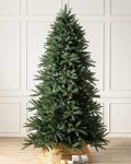 MAR-T_Mariana-Spruce_UNLIT_20_SSC-10
